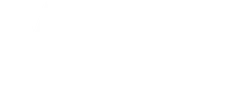 Vetspire Logo